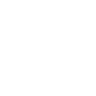 Blinkpunt